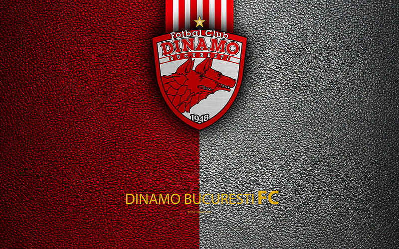 FC Dinamo City